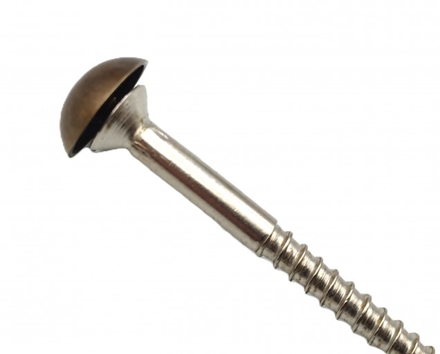 2 inch screws with dome caps in antique brass 13mm head 
