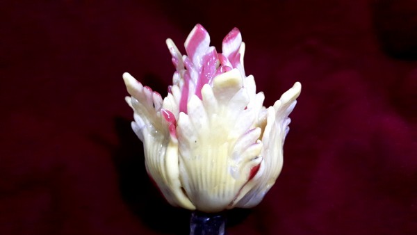 Venetian chandelier tulip C1900     