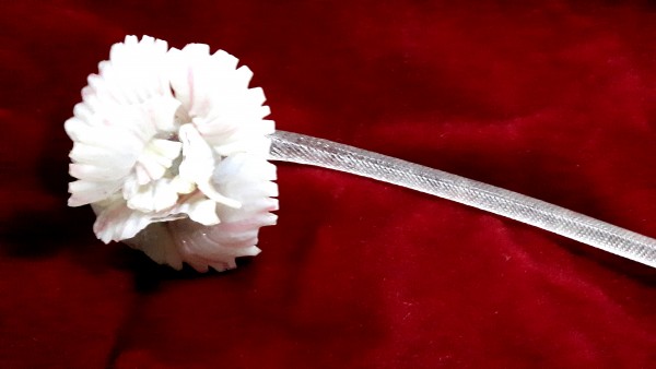 White Venetian Flower - Flashes of Pink Clear Stem B stock tray MB1  