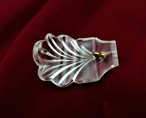 Top Canopy Crown Leaves 