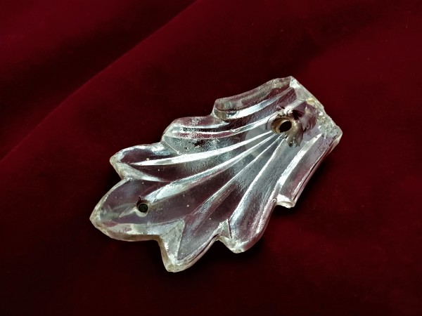 Top canopy crown leaves spiked