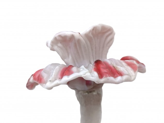 Murano chandelier Flower clear Stem with red and white Flower Head