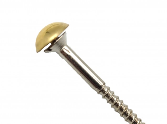 2 inch screws with dome caps in brass 13mm head
